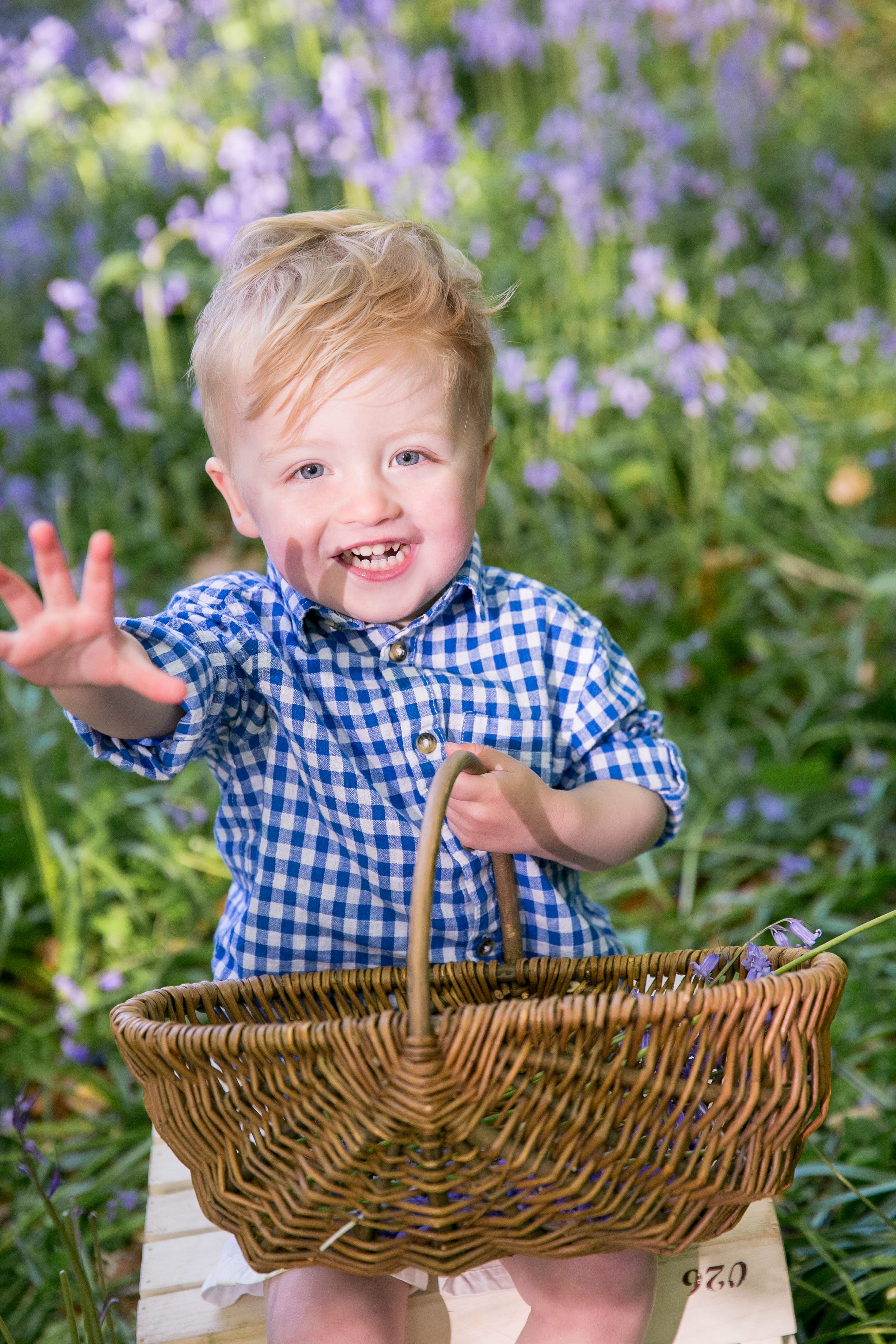 Childhood photography bluebells 