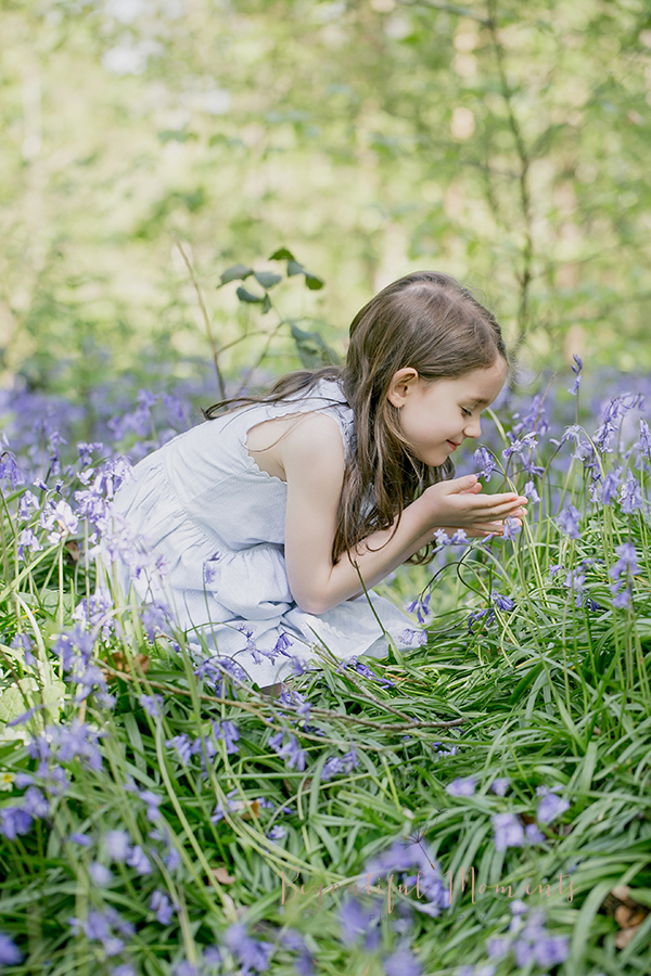 Bluebells