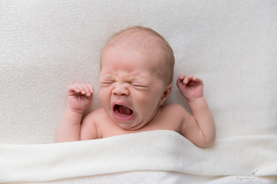 newborn photoshoot 